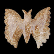 Chocolate Calcite hand-carved Butterfly dual platter 206*30*188mm 1113g in sunlight - Rocks and Things Store