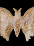 Chocolate Calcite hand-carved Butterfly dual platter 206*30*188mm 1113g in sunlight - Rocks and Things Store
