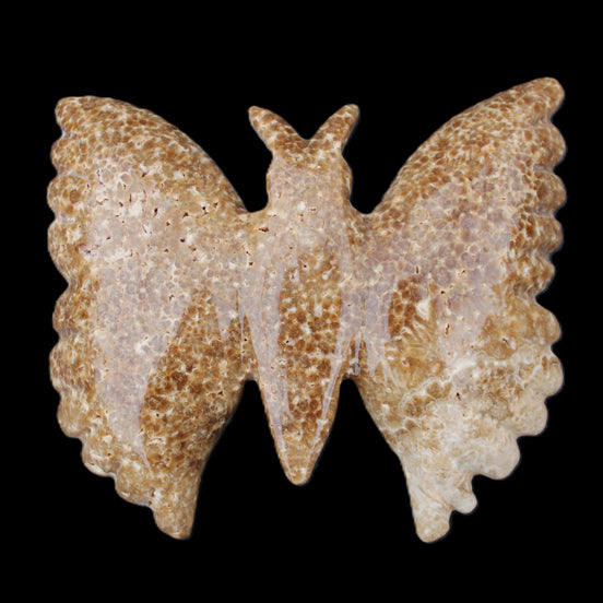 Chocolate Calcite hand-carved Butterfly dual platter 206*30*188mm 1113g in sunlight - Rocks and Things Store