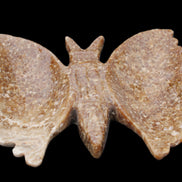 Chocolate Calcite hand-carved Butterfly dual platter 206*30*188mm 1113g in sunlight - Rocks and Things Store