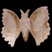 Chocolate Calcite hand-carved Butterfly dual platter 206*30*188mm 1113g in sunlight - Rocks and Things Store