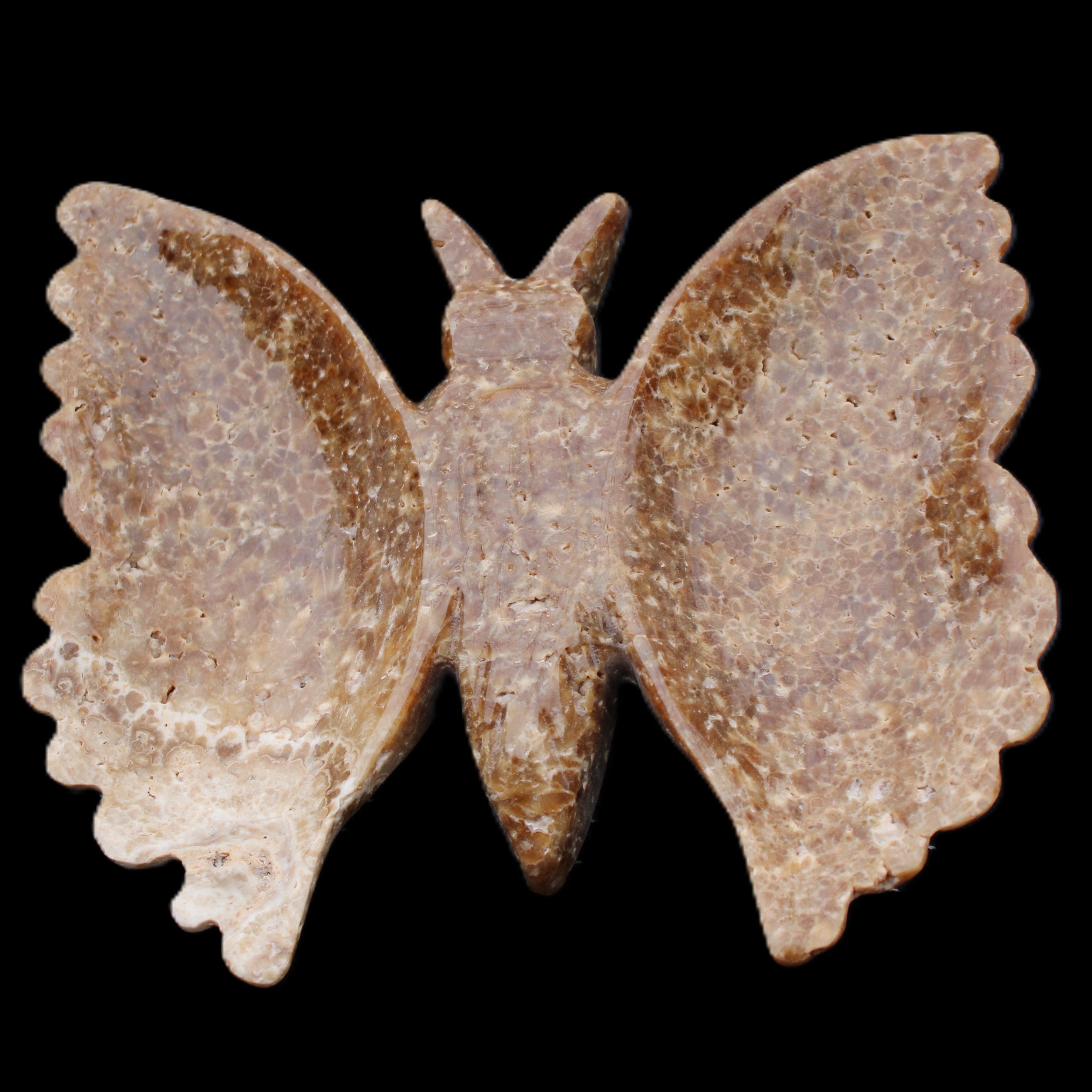 Chocolate Calcite hand-carved Butterfly dual platter 206*30*188mm 1113g in sunlight - Rocks and Things Store
