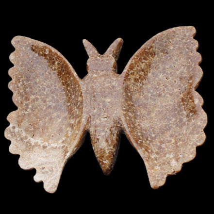 Chocolate Calcite hand-carved Butterfly dual platter 206*30*188mm 1113g in sunlight - Rocks and Things Store