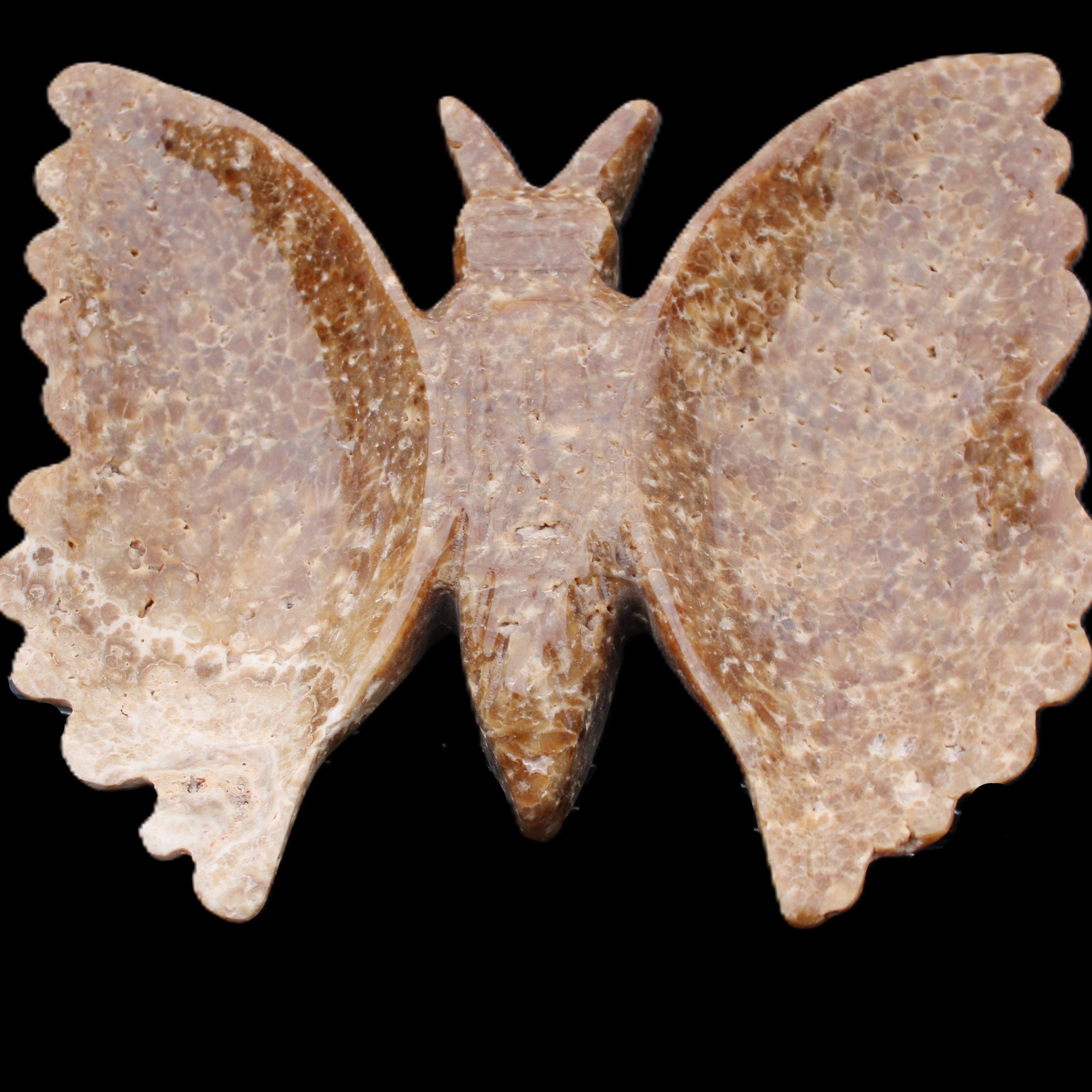Chocolate Calcite hand-carved Butterfly dual platter 206*30*188mm 1113g in sunlight - Rocks and Things Store