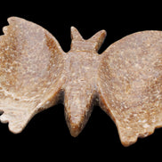 Chocolate Calcite hand-carved Butterfly dual platter 206*30*188mm 1113g in sunlight - Rocks and Things Store