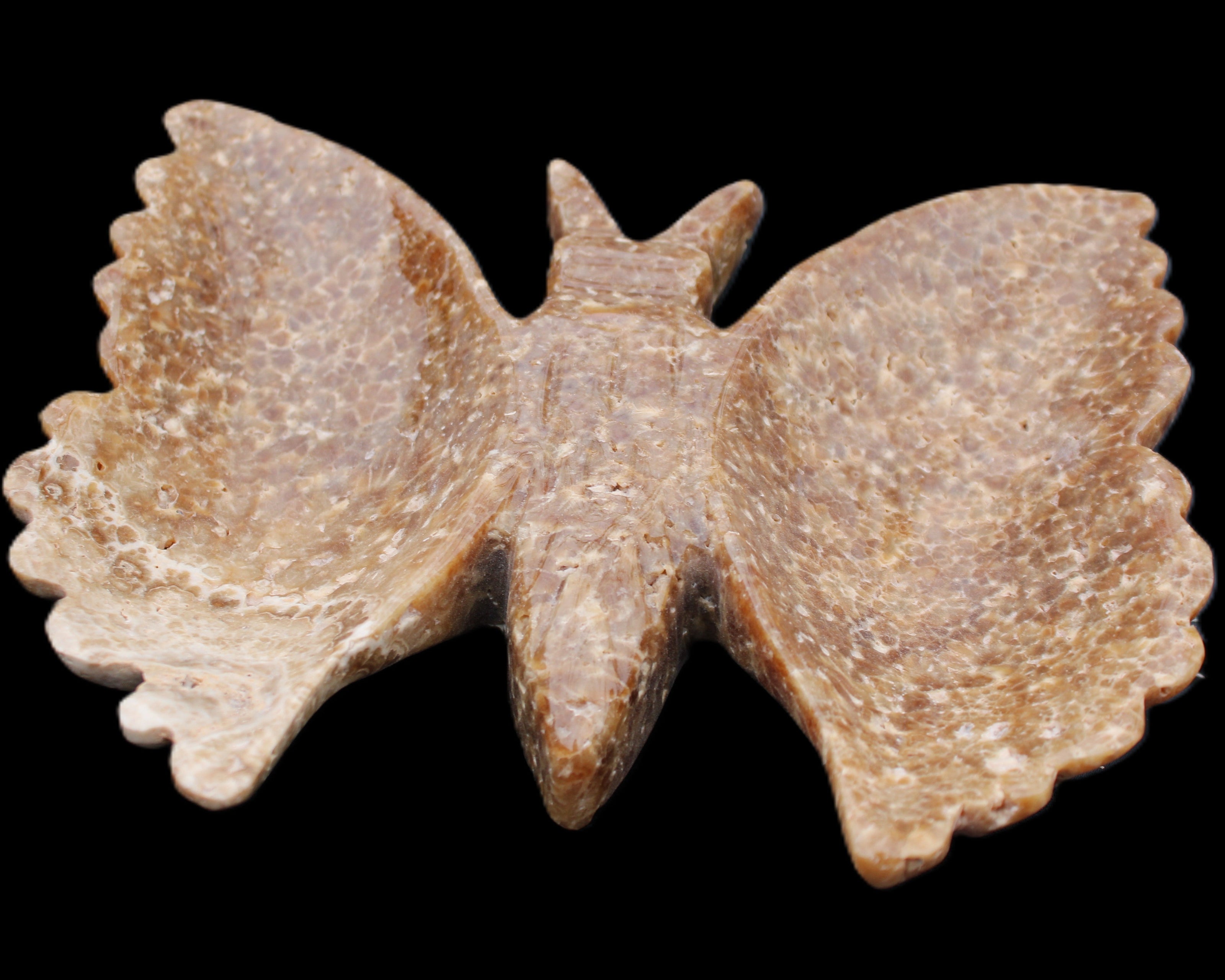 Chocolate Calcite hand-carved Butterfly dual platter 206*30*188mm 1113g in sunlight - Rocks and Things Store