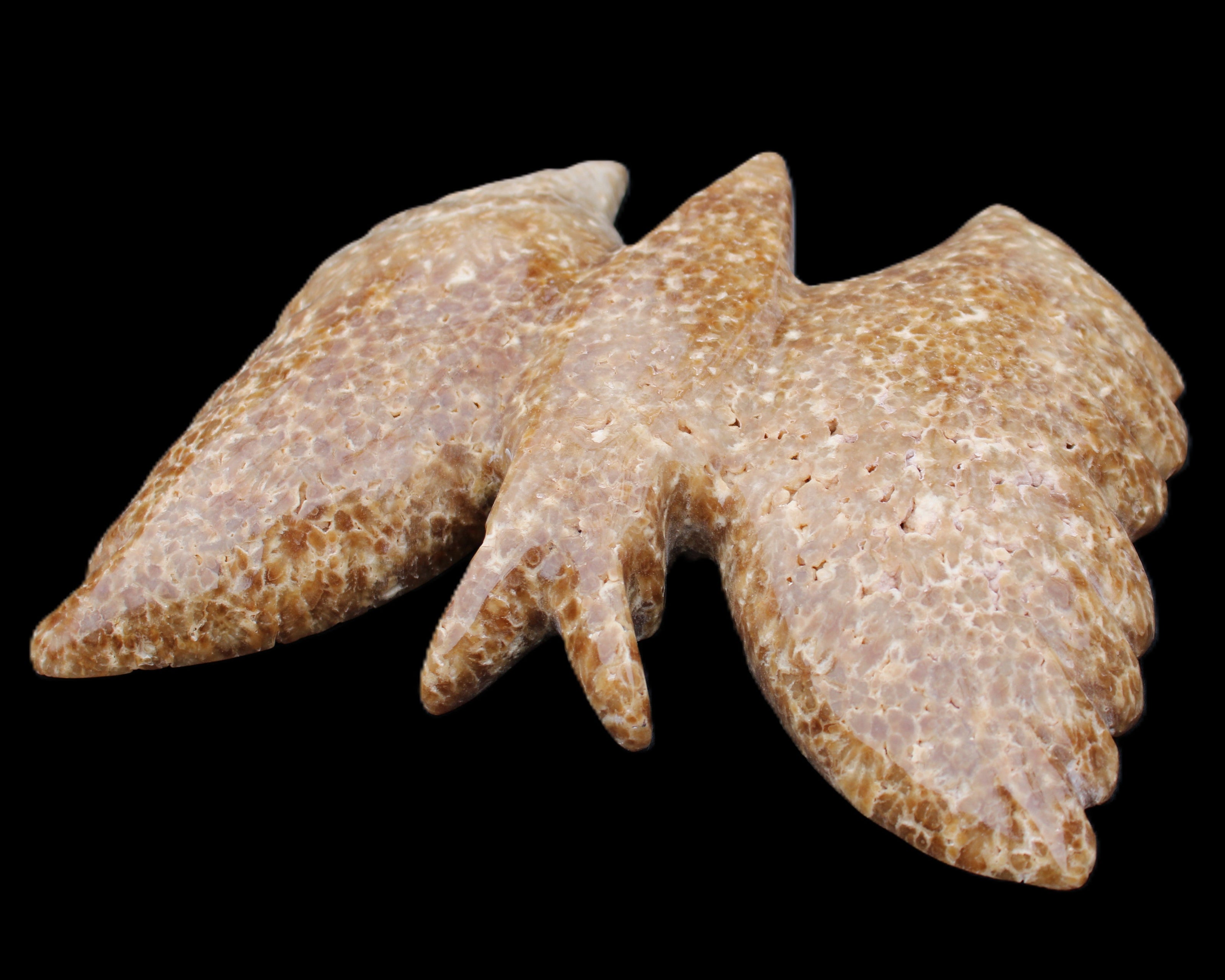 Chocolate Calcite hand-carved Butterfly dual platter 206*30*188mm 1113g in sunlight - Rocks and Things Store