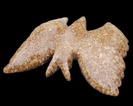Chocolate Calcite hand-carved Butterfly dual platter 206*30*188mm 1113g in sunlight - Rocks and Things Store