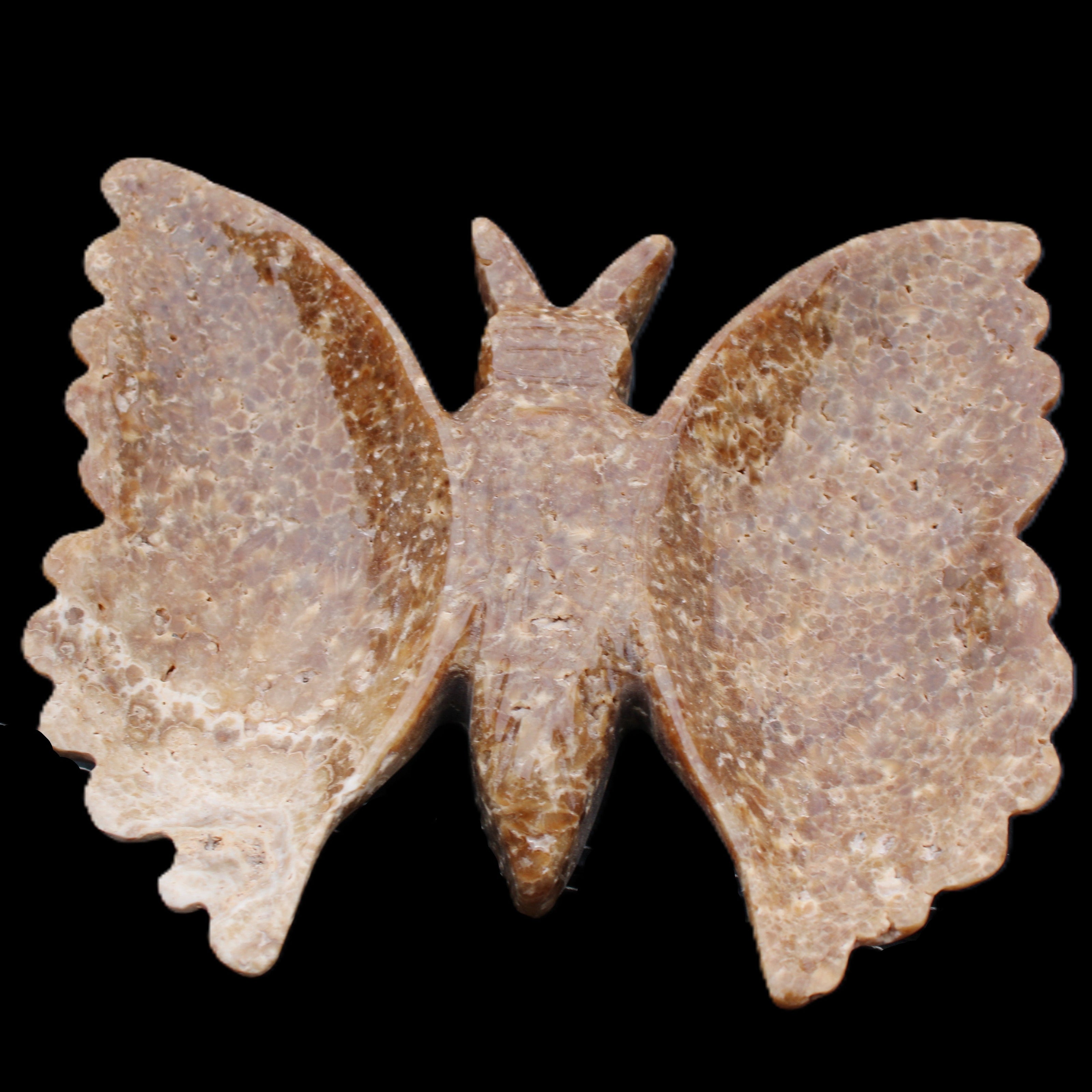 Chocolate Calcite hand-carved Butterfly dual platter 206*30*188mm 1113g in sunlight - Rocks and Things Store