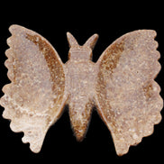Chocolate Calcite hand-carved Butterfly dual platter 206*30*188mm 1113g in sunlight - Rocks and Things Store