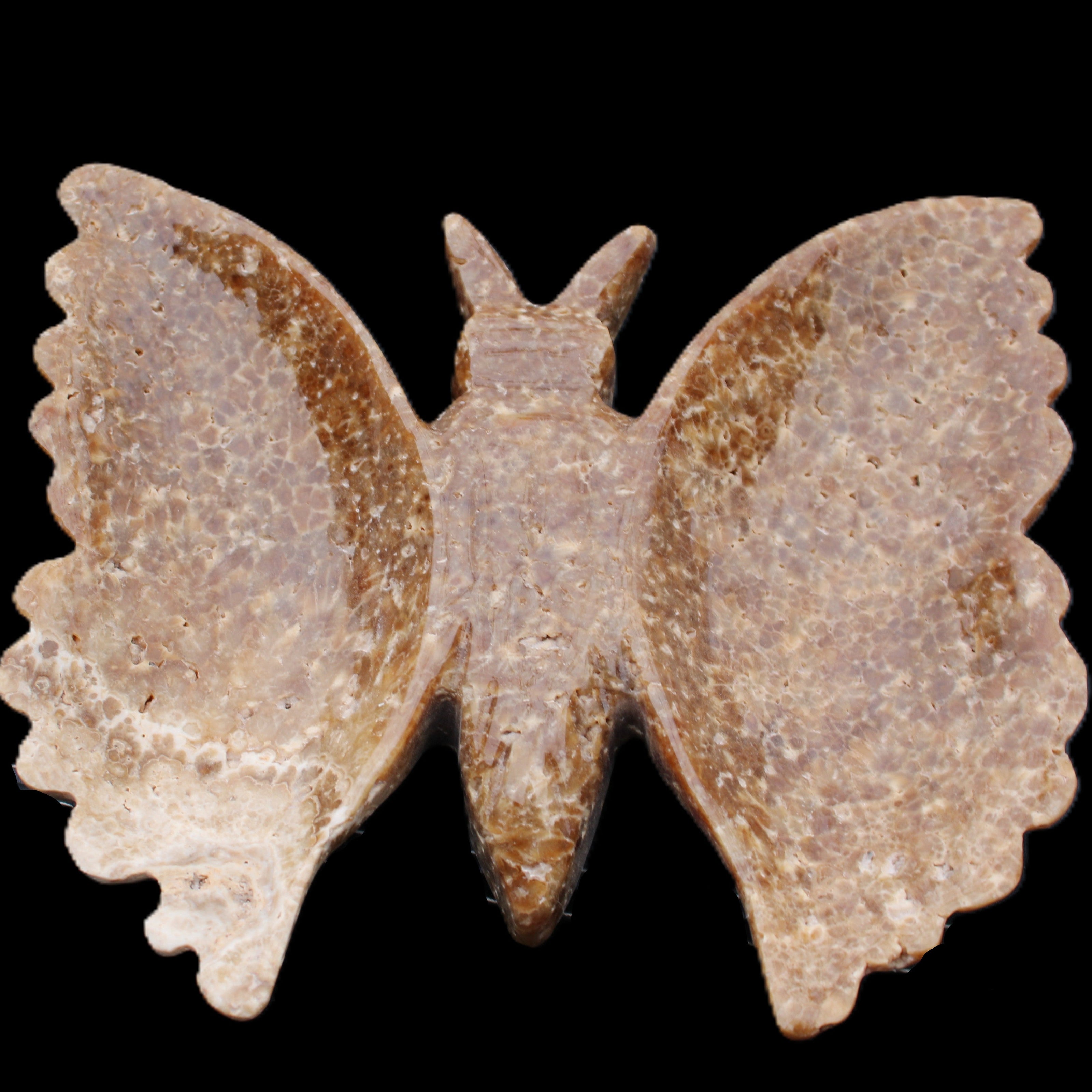 Chocolate Calcite hand-carved Butterfly dual platter 206*30*188mm 1113g in sunlight - Rocks and Things Store