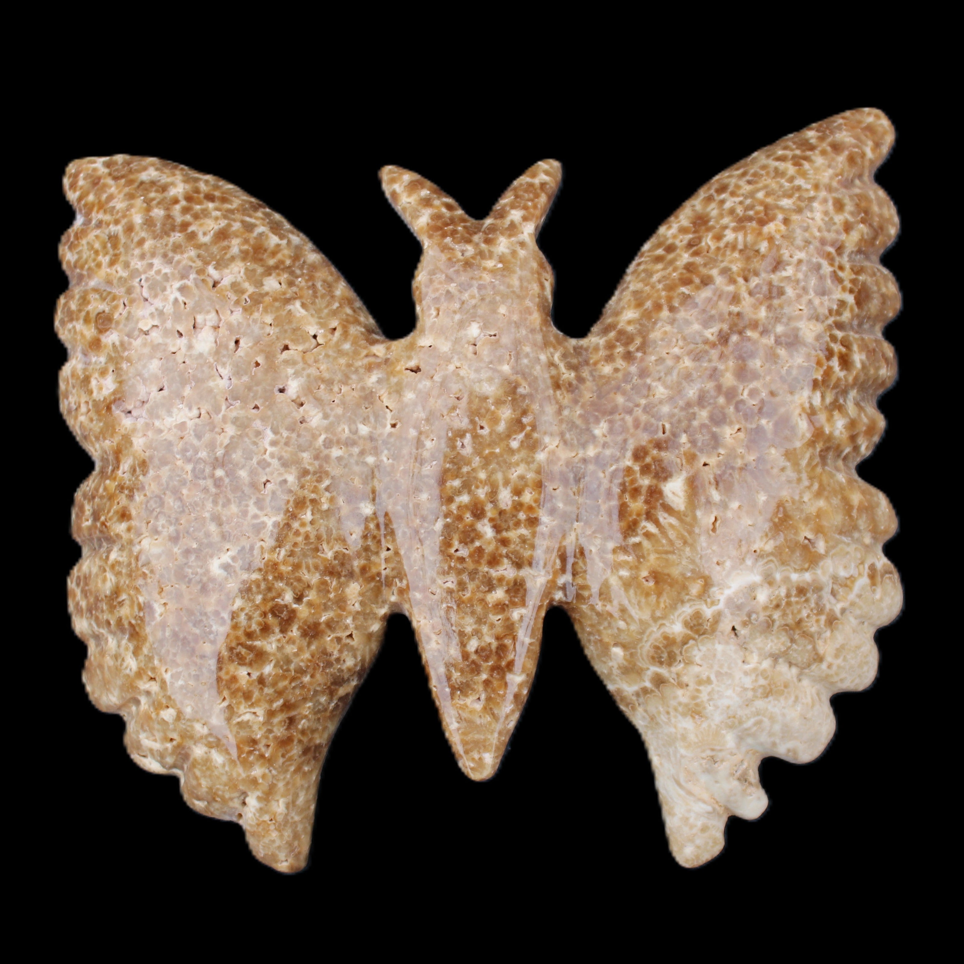 Chocolate Calcite hand-carved Butterfly dual platter 206*30*188mm 1113g in sunlight - Rocks and Things Store