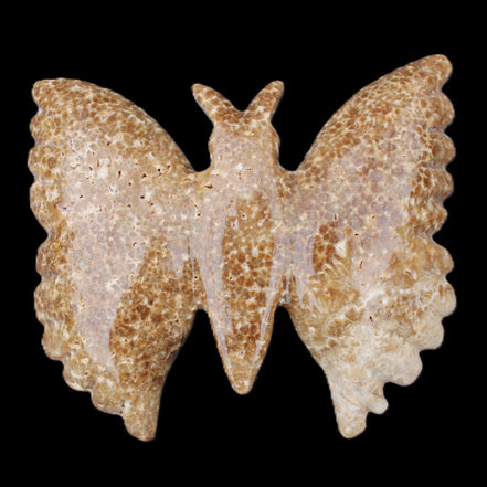 Chocolate Calcite hand-carved Butterfly dual platter 206*30*188mm 1113g in sunlight - Rocks and Things Store