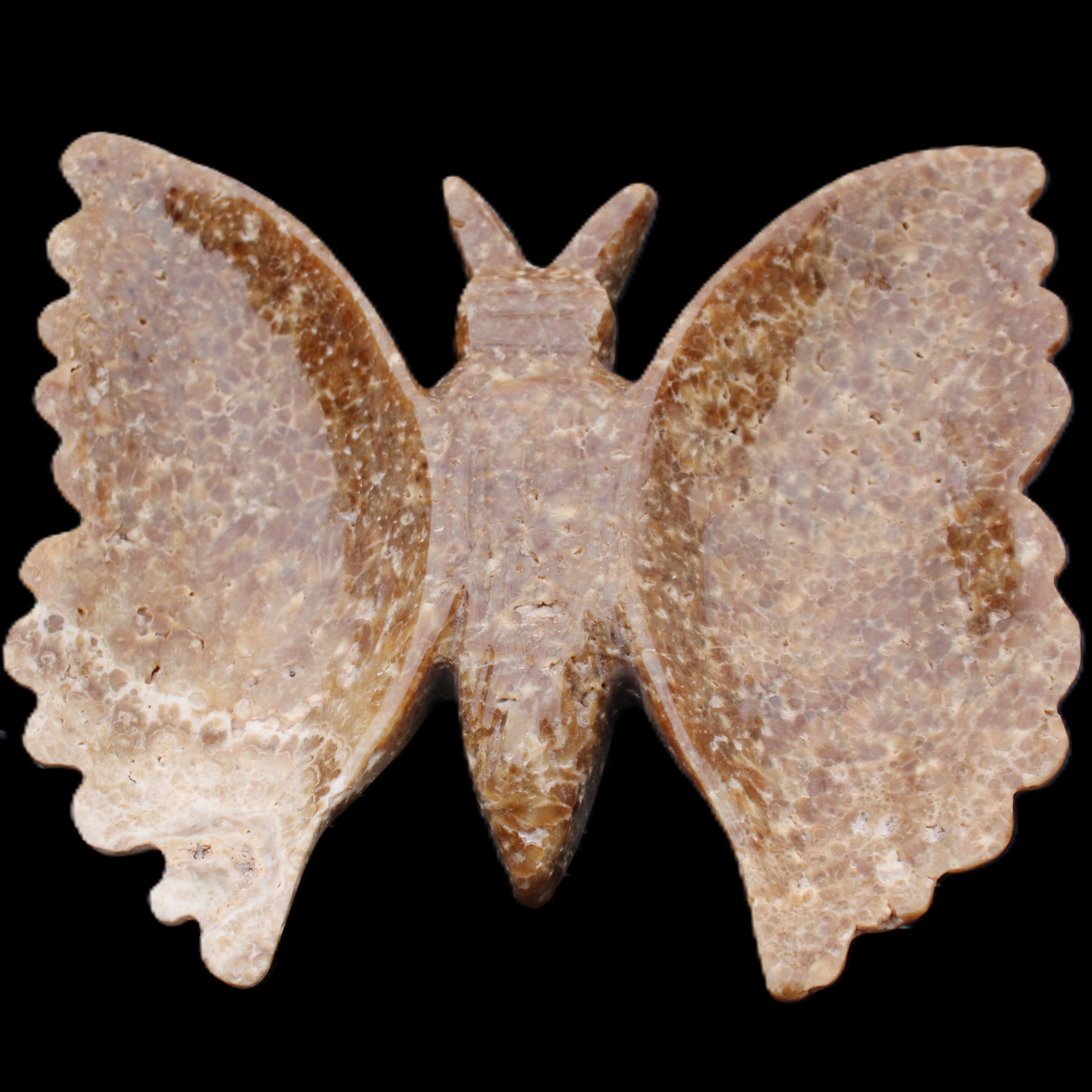 Chocolate Calcite hand-carved Butterfly dual platter 206*30*188mm 1113g in sunlight - Rocks and Things Store