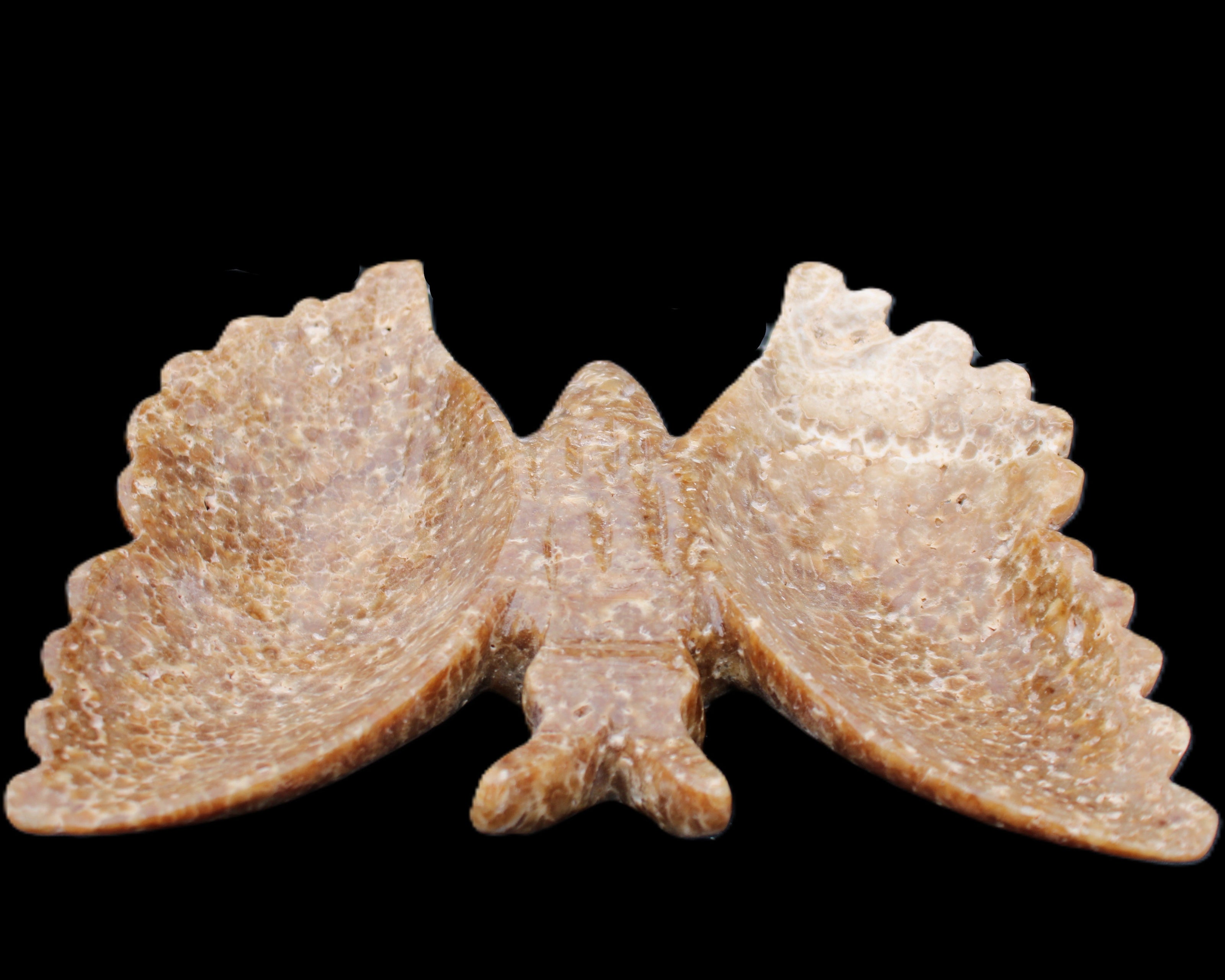 Chocolate Calcite hand-carved Butterfly dual platter 206*30*188mm 1113g in sunlight - Rocks and Things Store