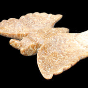 Chocolate Calcite hand-carved Butterfly dual platter 206*30*188mm 1113g in sunlight - Rocks and Things Store
