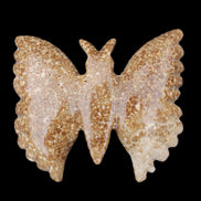 Chocolate Calcite hand-carved Butterfly dual platter 206*30*188mm 1113g in sunlight - Rocks and Things Store