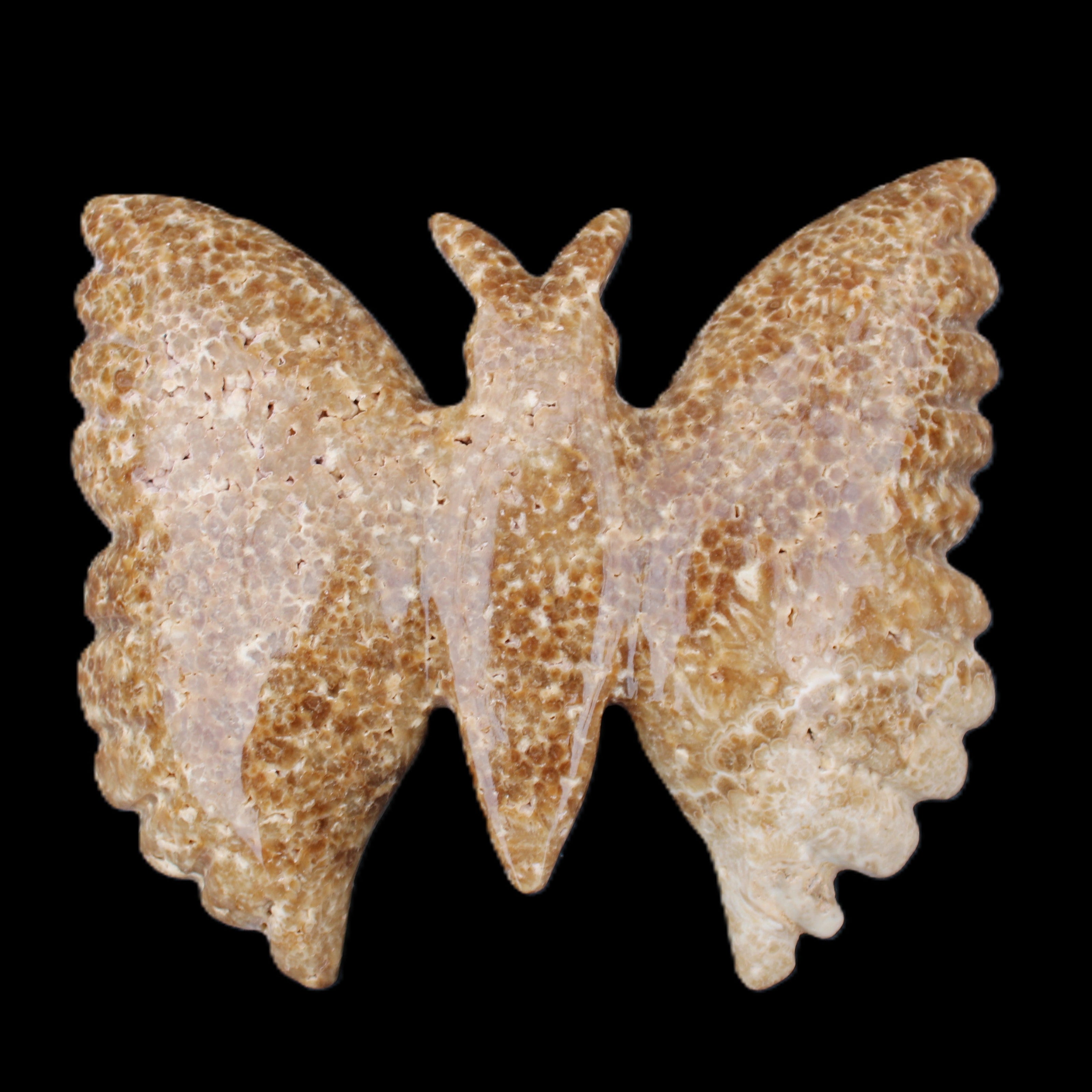 Chocolate Calcite hand-carved Butterfly dual platter 206*30*188mm 1113g in sunlight - Rocks and Things Store