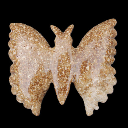 Chocolate Calcite hand-carved Butterfly dual platter 206*30*188mm 1113g in sunlight - Rocks and Things Store