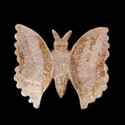 Chocolate Calcite hand-carved Butterfly dual platter 206*30*188mm 1113g in sunlight - Rocks and Things Store