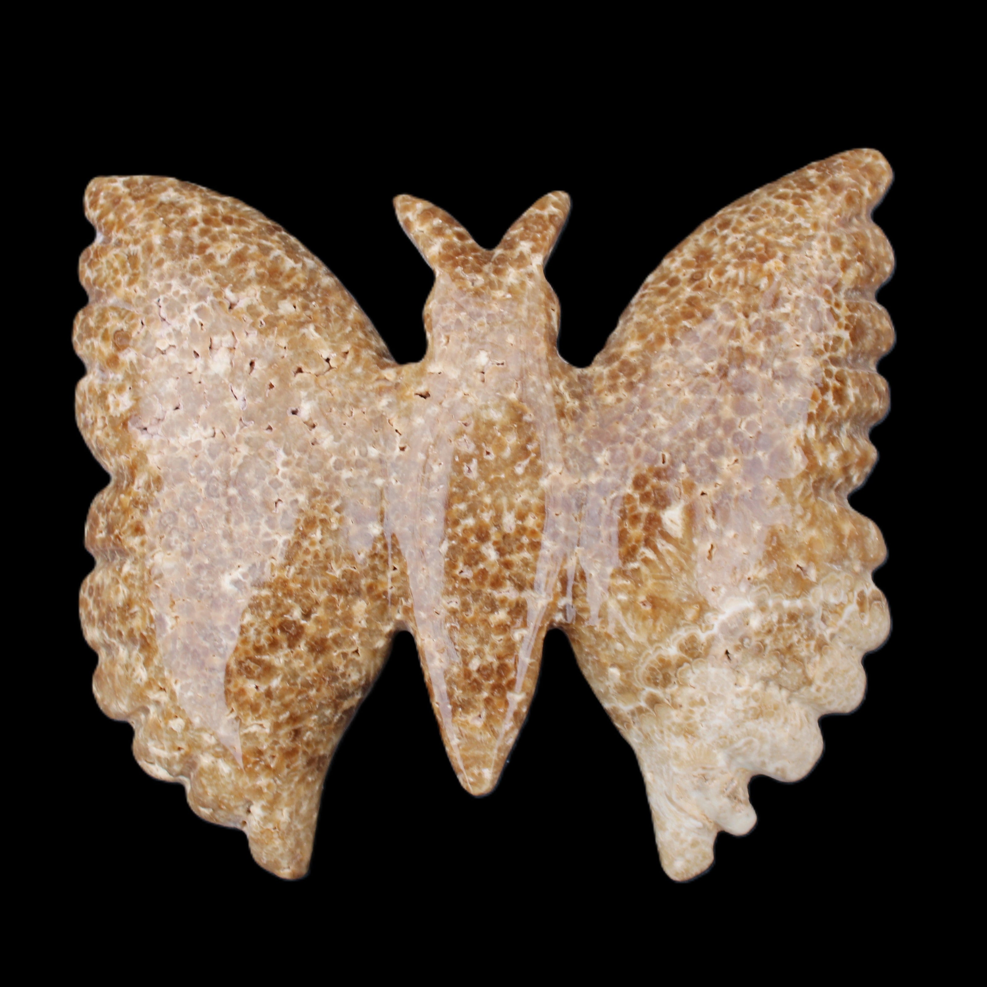 Chocolate Calcite hand-carved Butterfly dual platter 206*30*188mm 1113g in sunlight - Rocks and Things Store