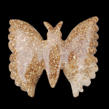 Chocolate Calcite hand-carved Butterfly dual platter 206*30*188mm 1113g in sunlight - Rocks and Things Store
