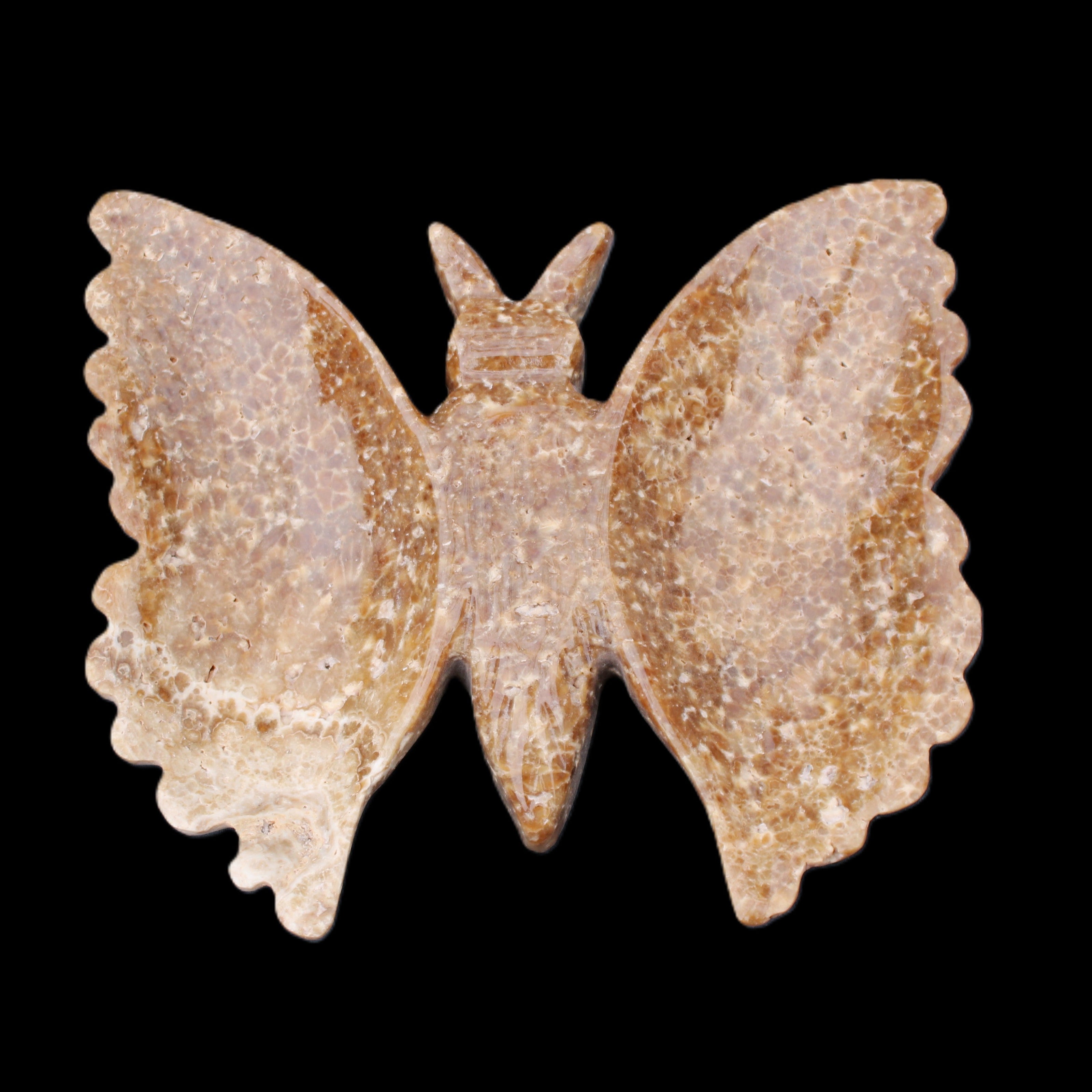 Chocolate Calcite hand-carved Butterfly dual platter 206*30*188mm 1113g in sunlight - Rocks and Things Store