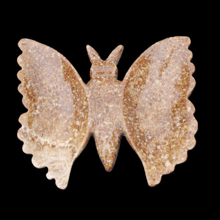 Chocolate Calcite hand-carved Butterfly dual platter 206*30*188mm 1113g in sunlight - Rocks and Things Store