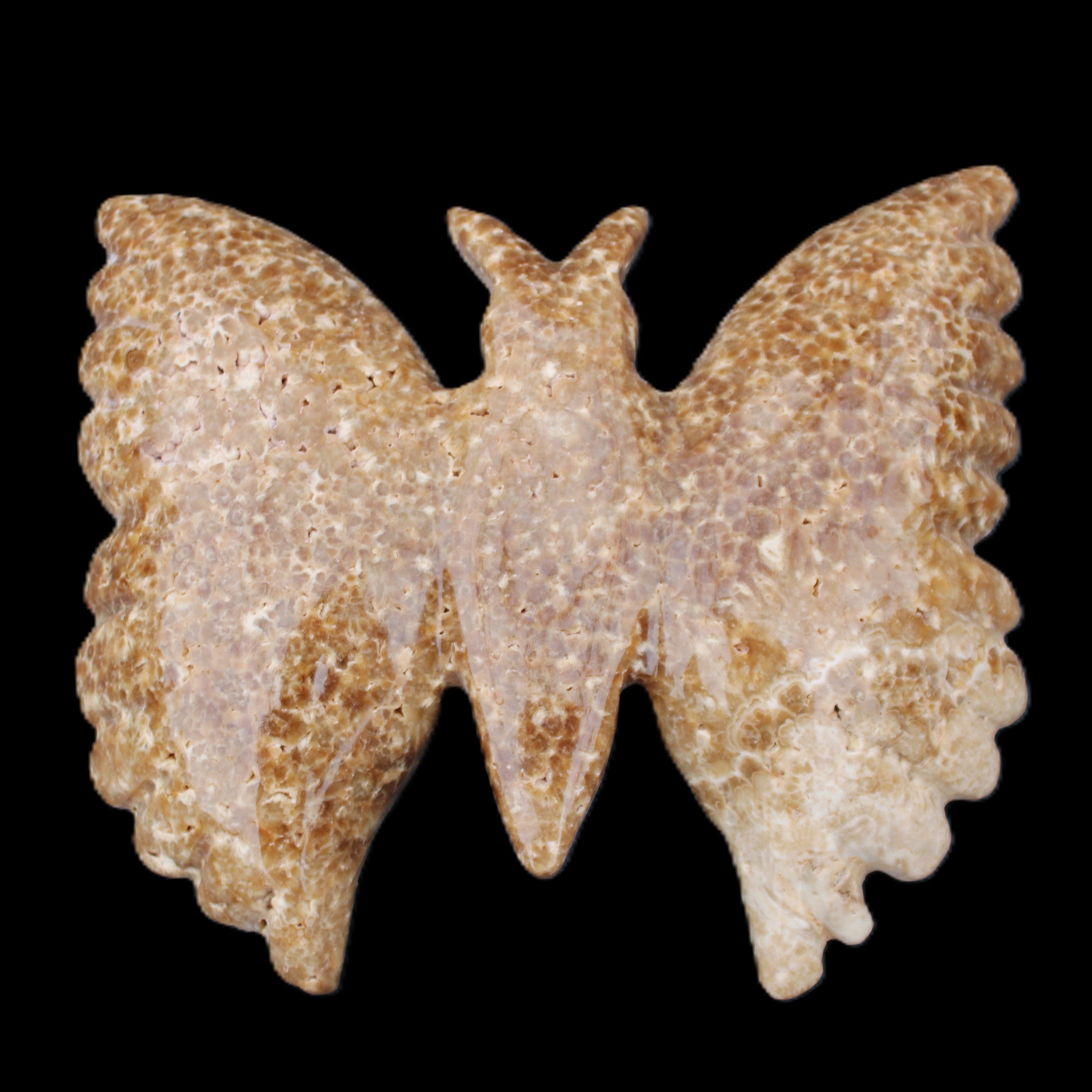 Chocolate Calcite hand-carved Butterfly dual platter 206*30*188mm 1113g in sunlight - Rocks and Things Store