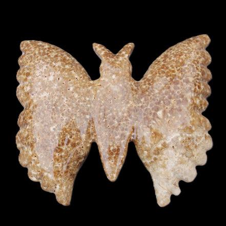 Chocolate Calcite hand-carved Butterfly dual platter 206*30*188mm 1113g in sunlight - Rocks and Things Store