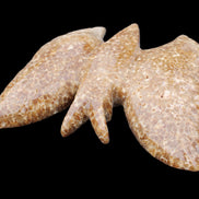 Chocolate Calcite hand-carved Butterfly dual platter 206*30*188mm 1113g in sunlight - Rocks and Things Store