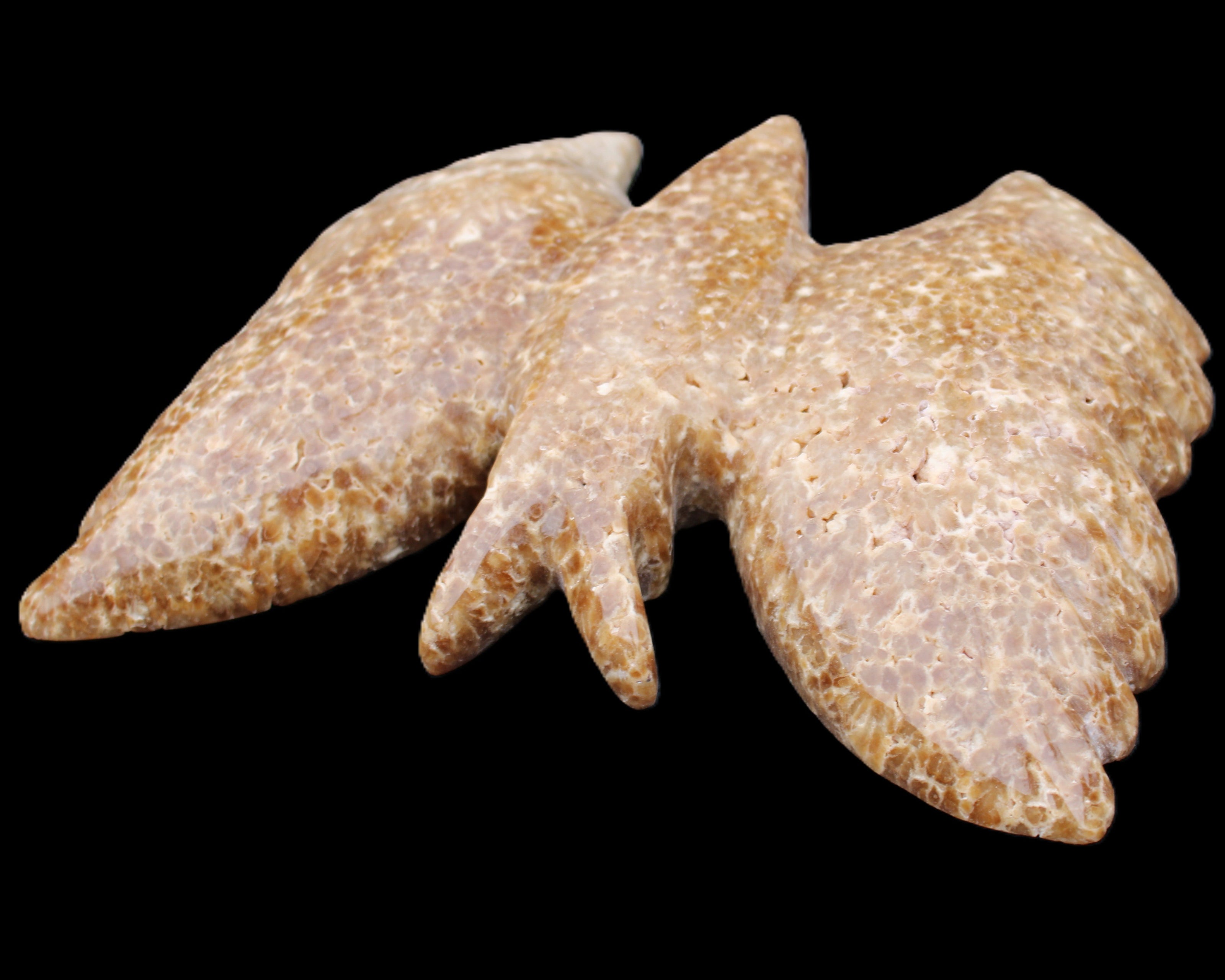 Chocolate Calcite hand-carved Butterfly dual platter 206*30*188mm 1113g in sunlight - Rocks and Things Store