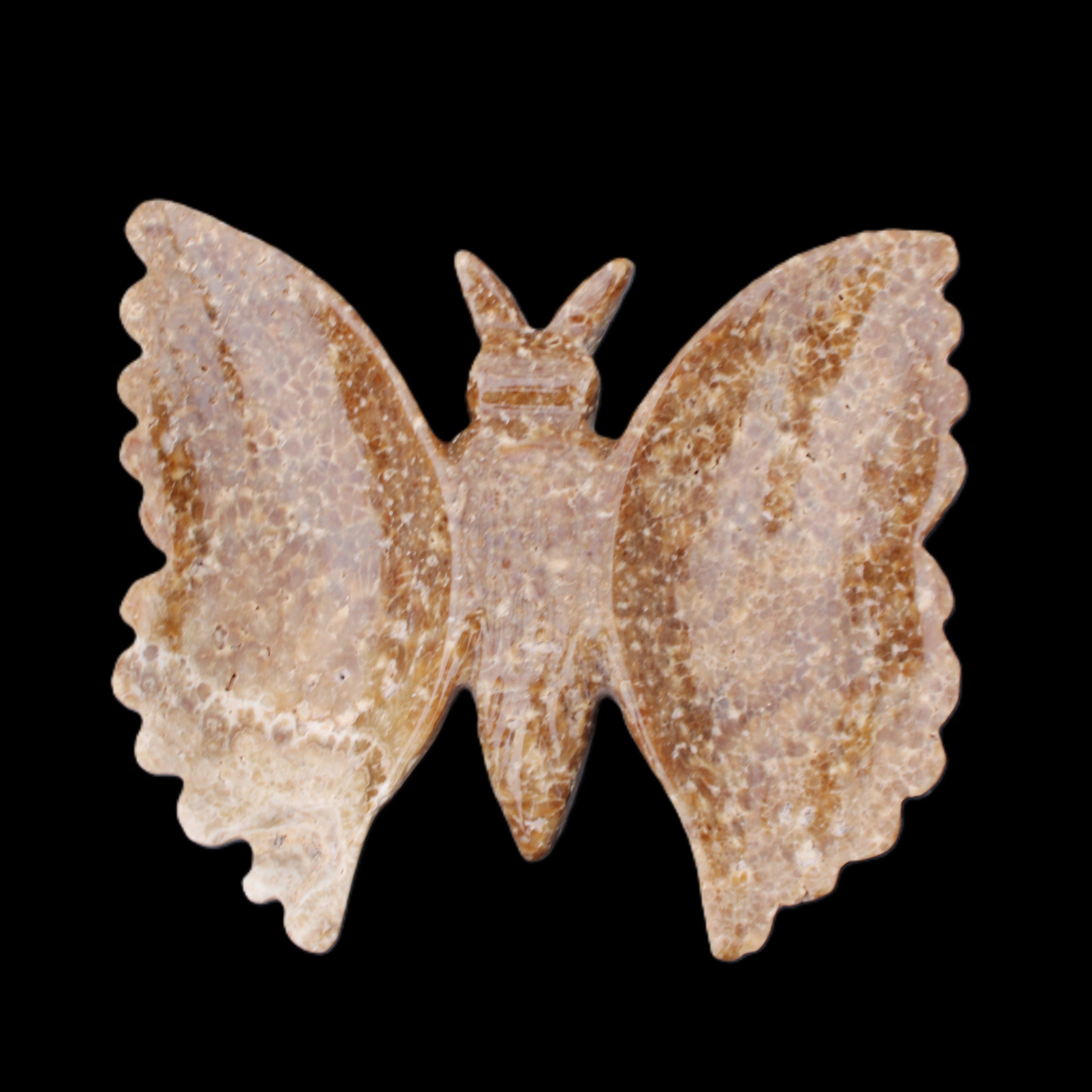 Chocolate Calcite hand-carved Butterfly dual platter 206*30*188mm 1113g in sunlight - Rocks and Things Store