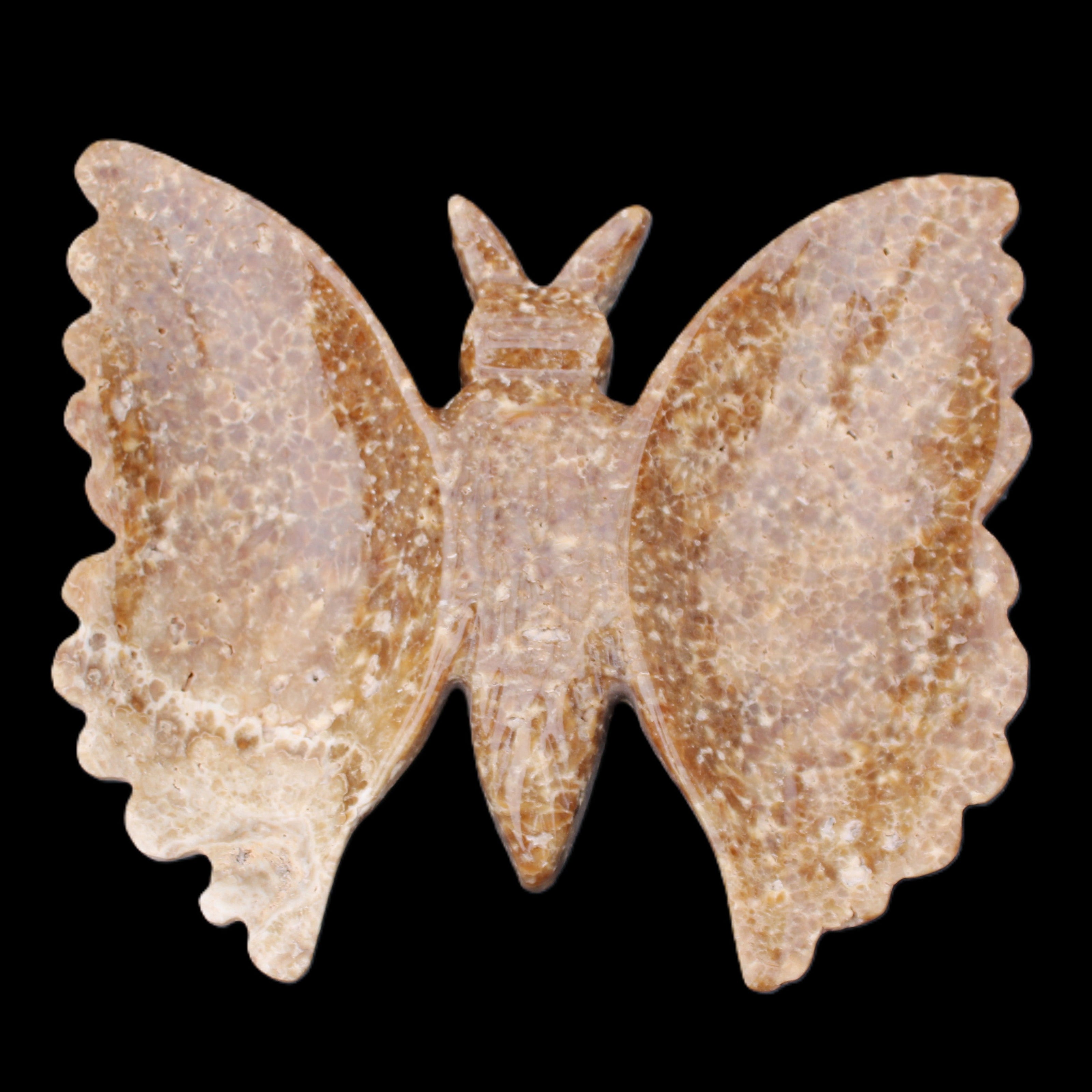 Chocolate Calcite hand-carved Butterfly dual platter 206*30*188mm 1113g in sunlight - Rocks and Things Store