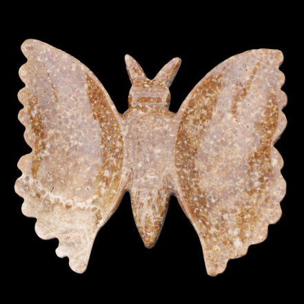 Chocolate Calcite hand-carved Butterfly dual platter 206*30*188mm 1113g in sunlight - Rocks and Things Store
