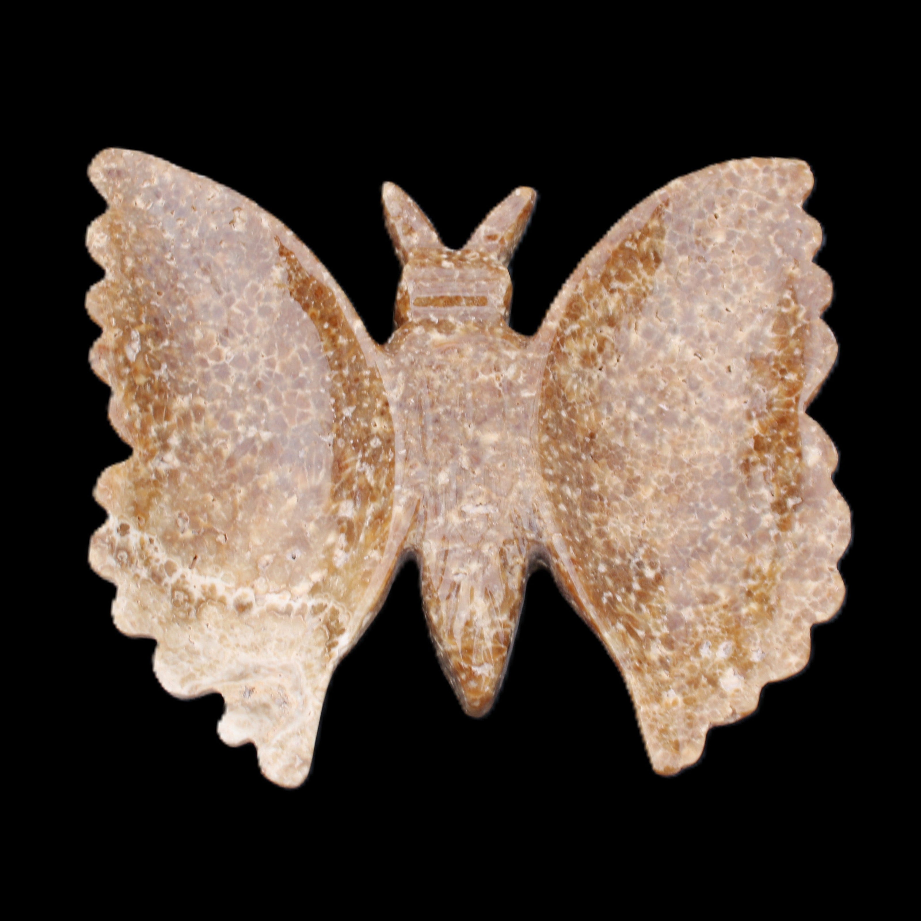 Chocolate Calcite hand-carved Butterfly dual platter 206*30*188mm 1113g in sunlight - Rocks and Things Store