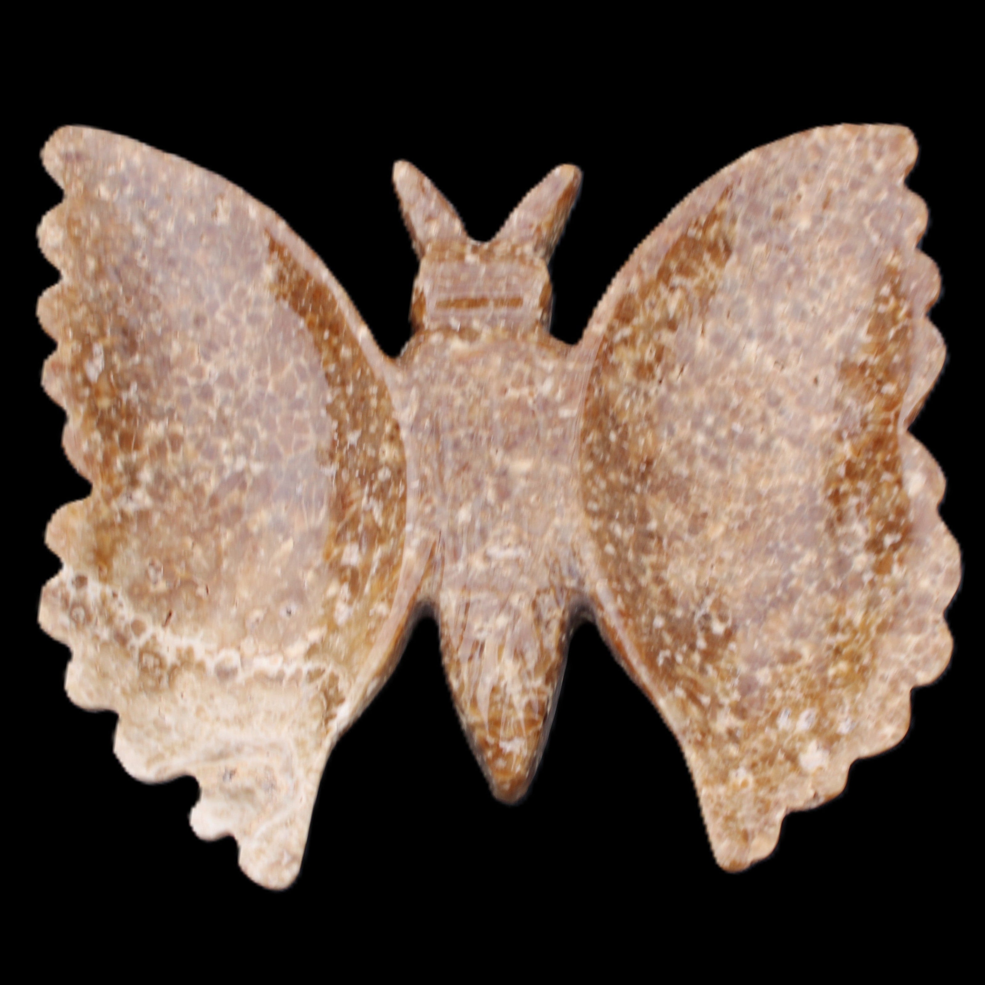Chocolate Calcite hand-carved Butterfly dual platter 206*30*188mm 1113g in sunlight - Rocks and Things Store