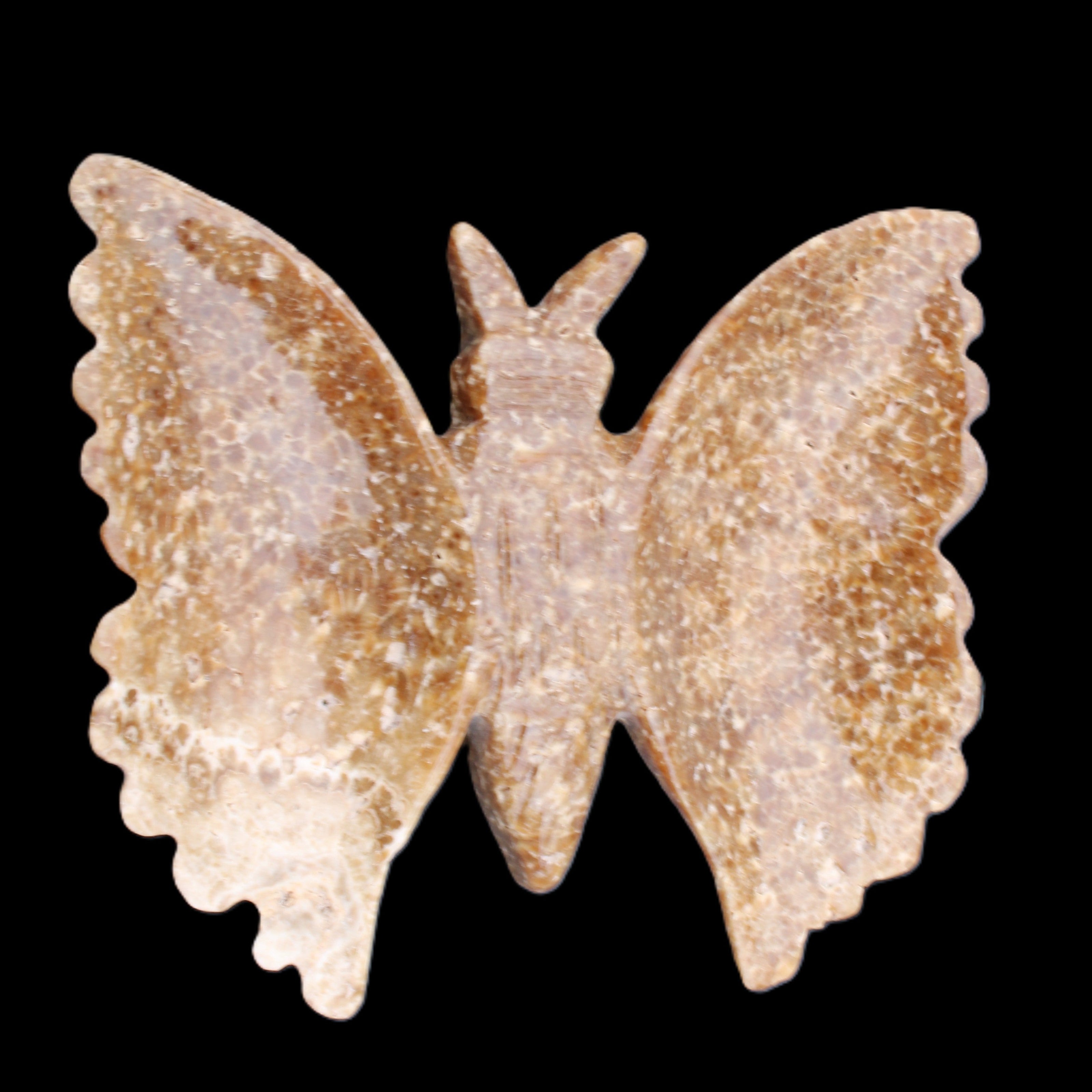 Chocolate Calcite hand-carved Butterfly dual platter 206*30*188mm 1113g in sunlight - Rocks and Things Store