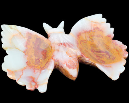 Afghan Jade hand-carved dual platter Butterfly 205*30*184mm 1030g in sunlight - Rocks and Things Store