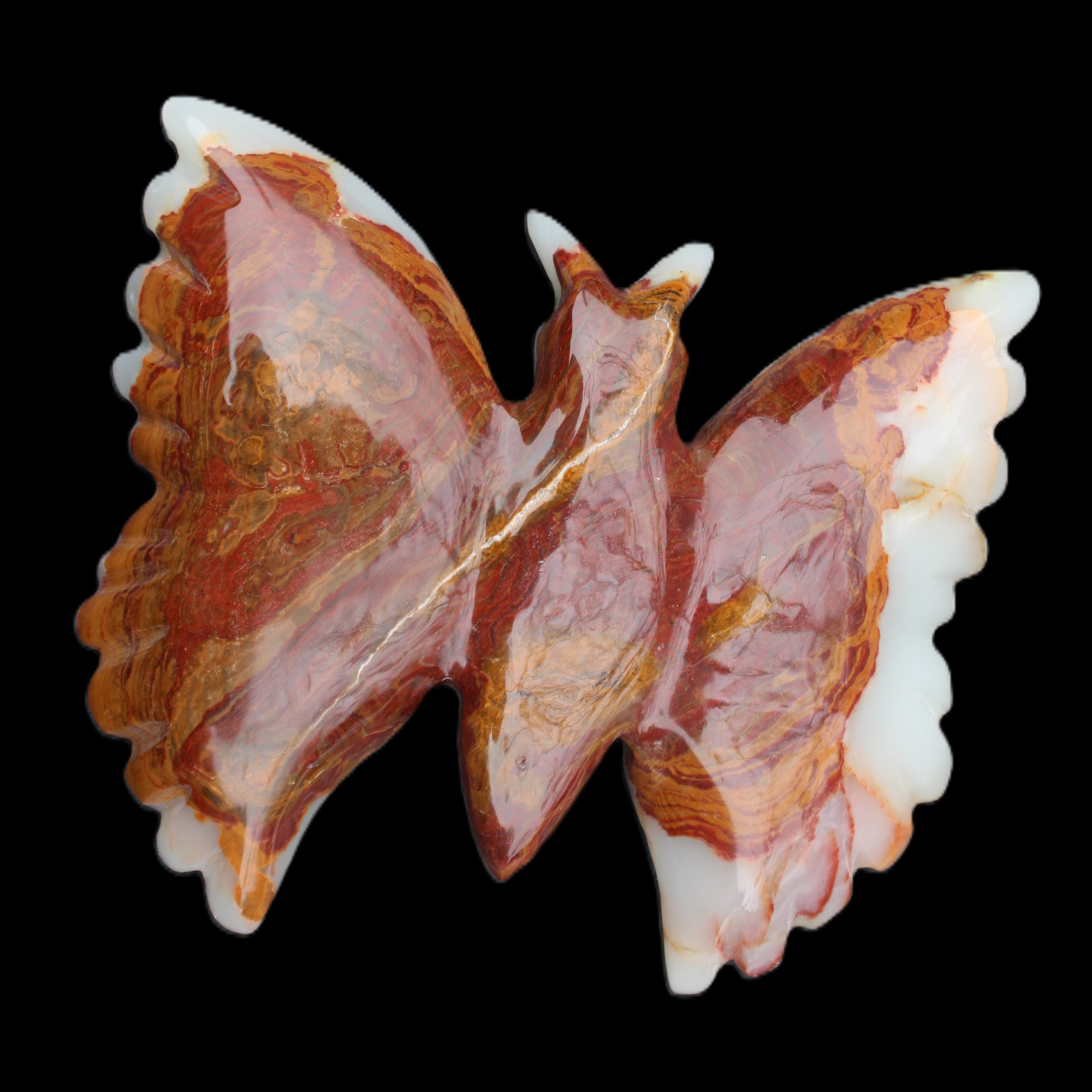 Afghan Jade hand-carved dual platter Butterfly 205*30*184mm 1030g in sunlight - Rocks and Things Store