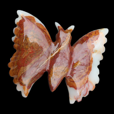 Afghan Jade hand-carved dual platter Butterfly 205*30*184mm 1030g in sunlight - Rocks and Things Store