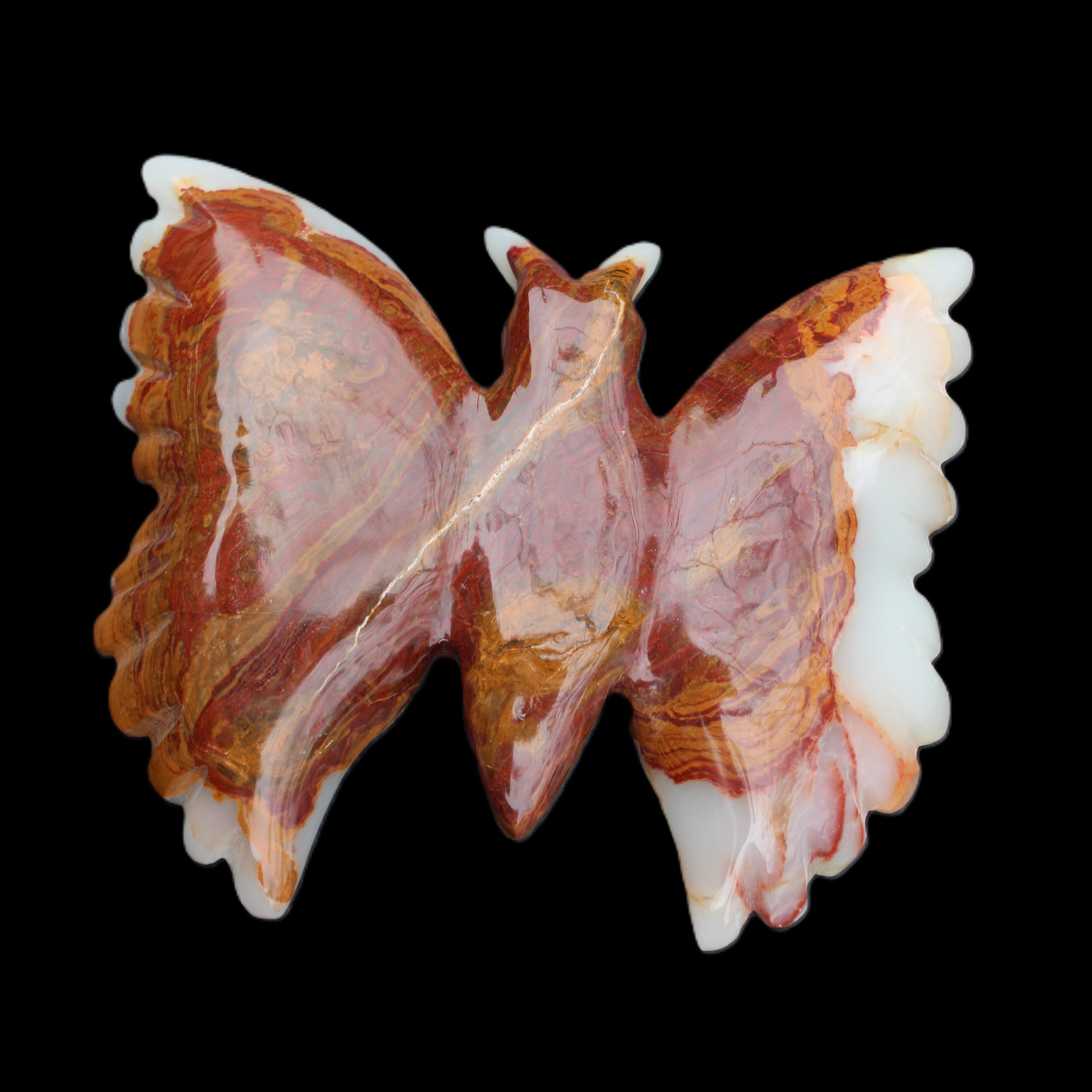 Afghan Jade hand-carved dual platter Butterfly 205*30*184mm 1030g in sunlight - Rocks and Things Store