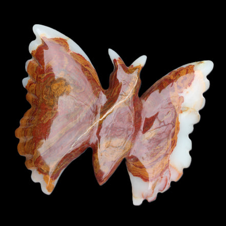 Afghan Jade hand-carved dual platter Butterfly 205*30*184mm 1030g in sunlight - Rocks and Things Store