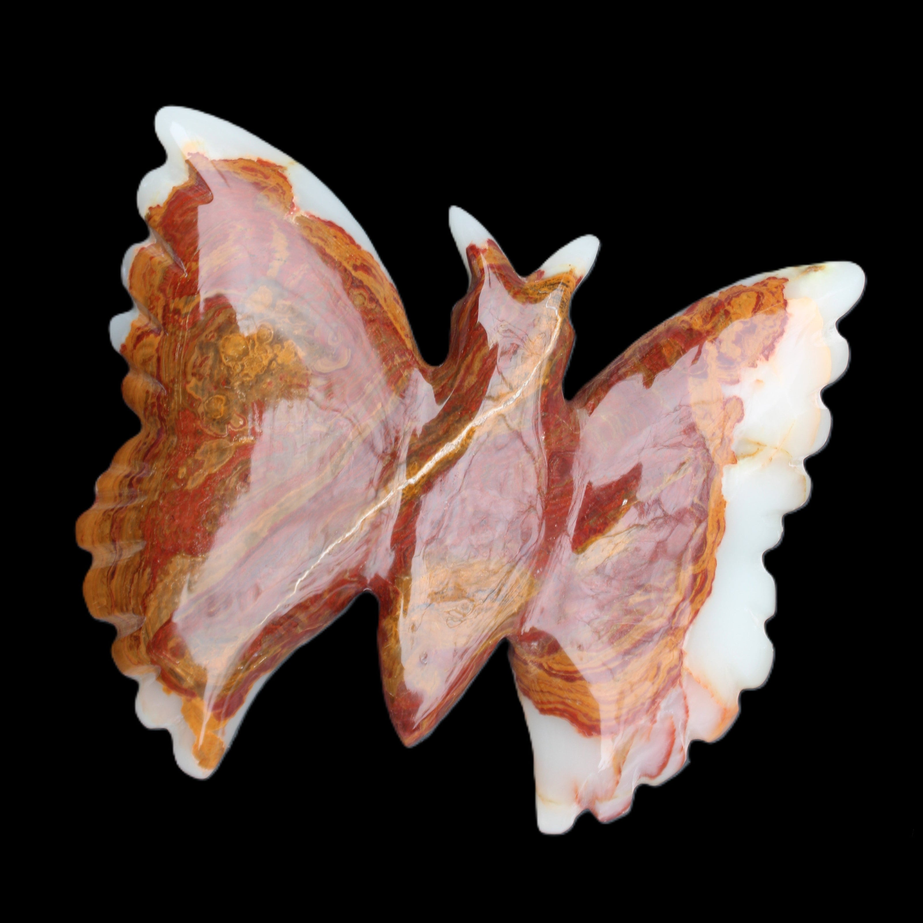 Afghan Jade hand-carved dual platter Butterfly 205*30*184mm 1030g in sunlight - Rocks and Things Store