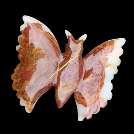 Afghan Jade hand-carved dual platter Butterfly 205*30*184mm 1030g in sunlight - Rocks and Things Store