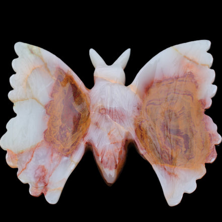 Afghan Jade hand-carved dual platter Butterfly 205*30*184mm 1030g in sunlight - Rocks and Things Store