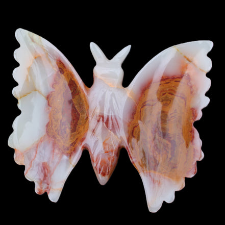Afghan Jade hand-carved dual platter Butterfly 205*30*184mm 1030g in sunlight - Rocks and Things Store