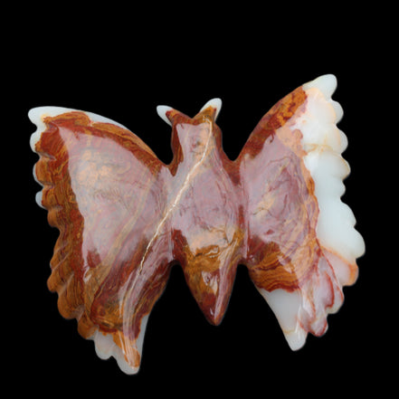 Afghan Jade hand-carved dual platter Butterfly 205*30*184mm 1030g in sunlight - Rocks and Things Store