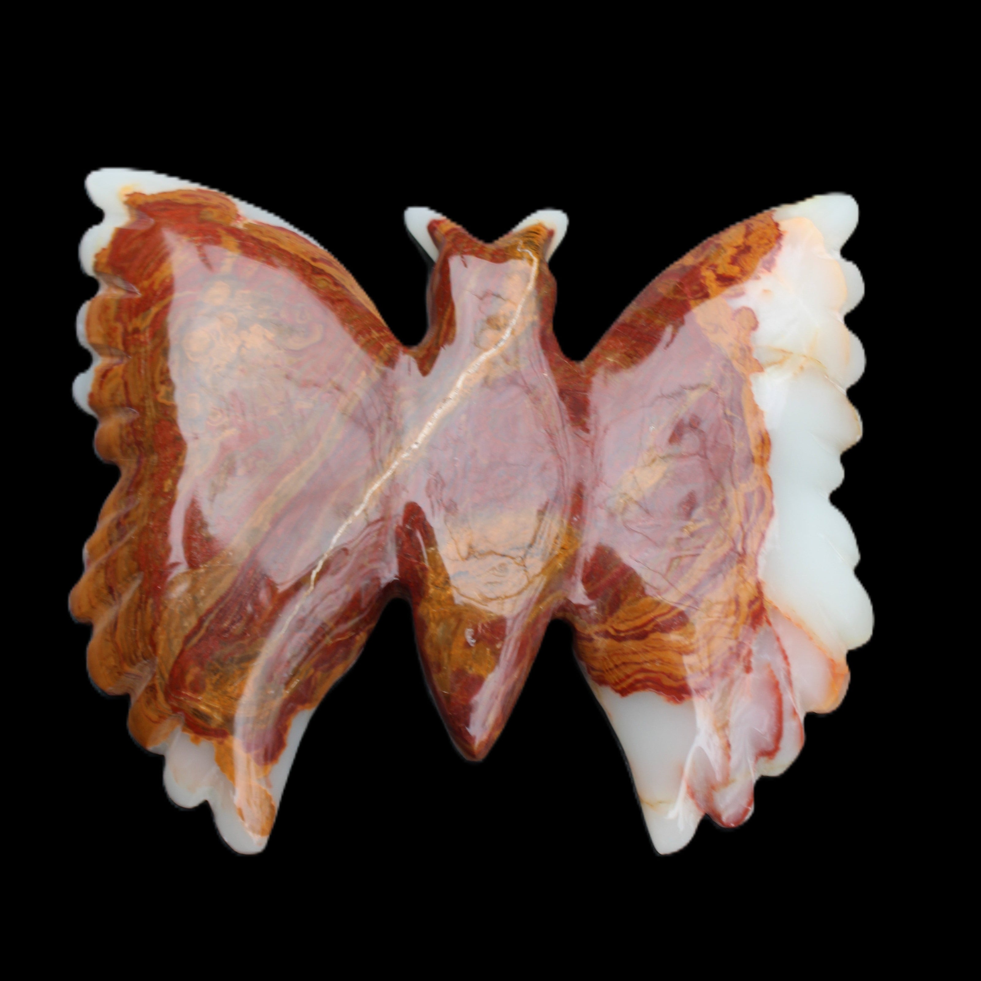 Afghan Jade hand-carved dual platter Butterfly 205*30*184mm 1030g in sunlight - Rocks and Things Store