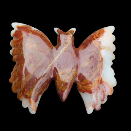 Afghan Jade hand-carved dual platter Butterfly 205*30*184mm 1030g in sunlight - Rocks and Things Store